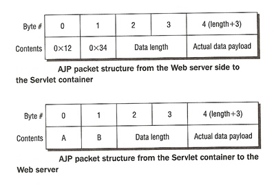 ajp\_packet.jpg